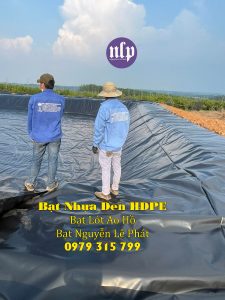 Bạt Lót Ao Hồ Chứa Nước Nuôi Cá Ốc Ếch tại Lào Cai