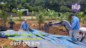 Thi Công Lót Bạt Ao Hồ Chứa Nước Chống Thấm Nuôi Cá Tôm Bình Thuận