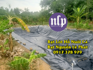 Bạt Lót Ao Hồ Chứa Nước Tưới Cây Tại Trảng Bom