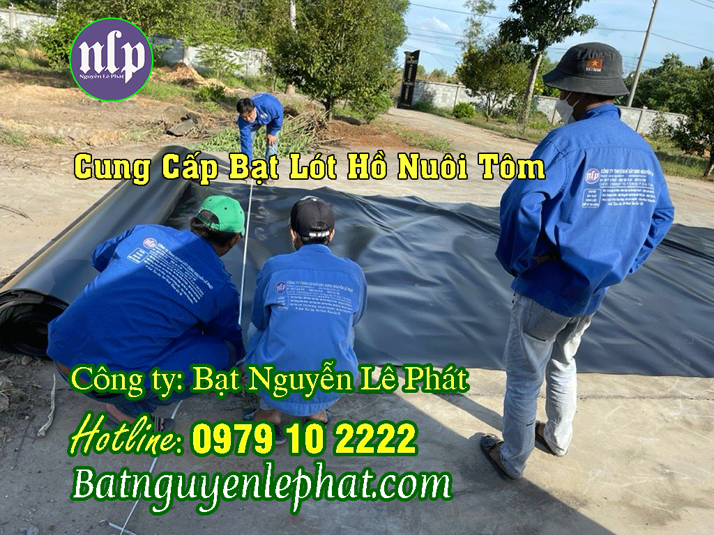 Bạt Lót Ao Hồ Chứa Nước Tưới Cây, Nuôi Cá tại Bù Đăng
