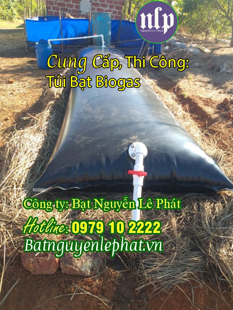 Thi Công Túi Biogas Chứa Khí Trang Trại Heo, Gà Vịt tại Bình Thuận